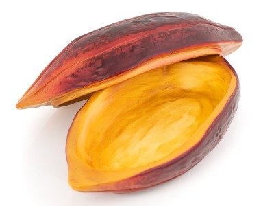 baya de cacao resinas