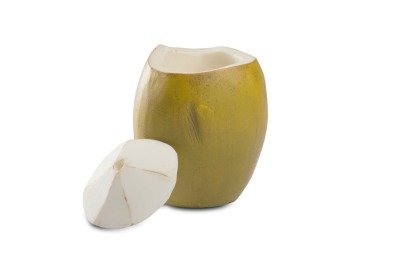 vaso coco loco resina resinas